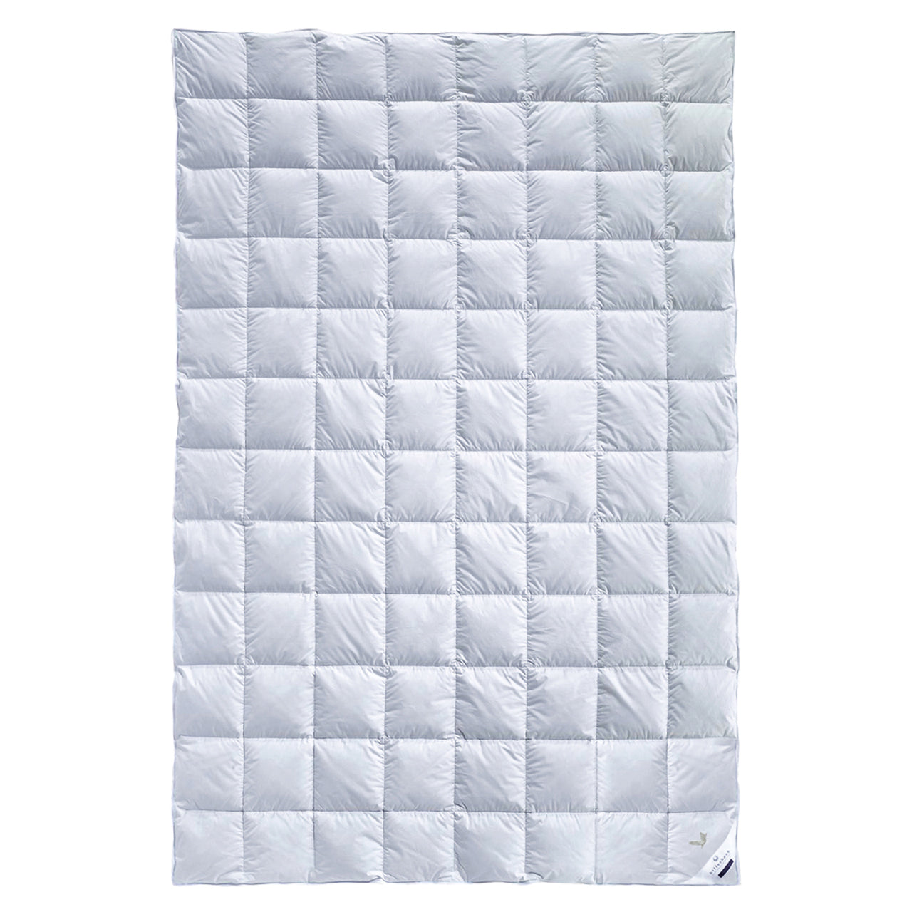 Billerbeck Gold-Edition Superlight Frühjahr/Sommer-Bettdecke mit Daunen-Füllung