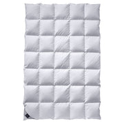 Billerbeck BASILIA® Superlight Frühjahr/Sommerdecke mit Gänsedaunen-Füllung