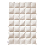 Billerbeck FRIEDA® Kassette II Winterdecke mit Gänsedaunen-Füllung