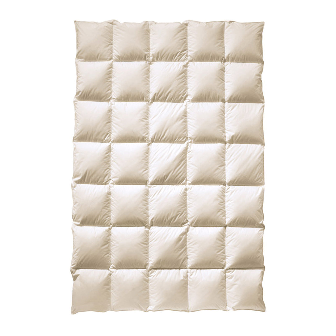 Billerbeck COSIDOWN® Mono Ganzjahres-Bettdecke mit Daunen-Füllung