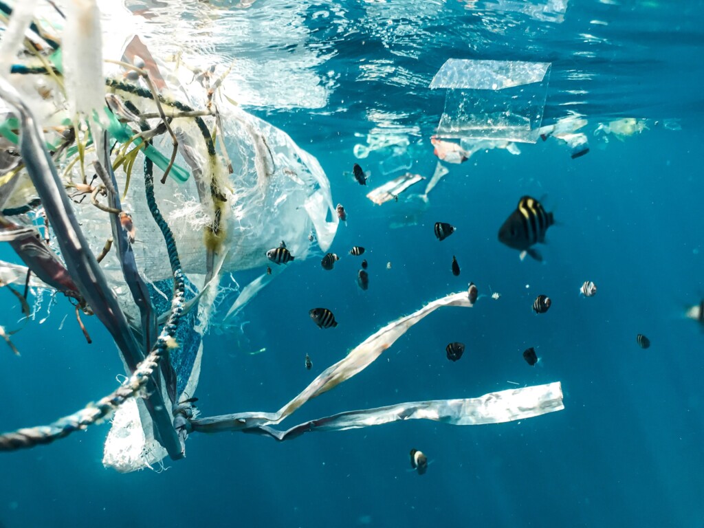 Plastikmüll in den Weltmeeren 