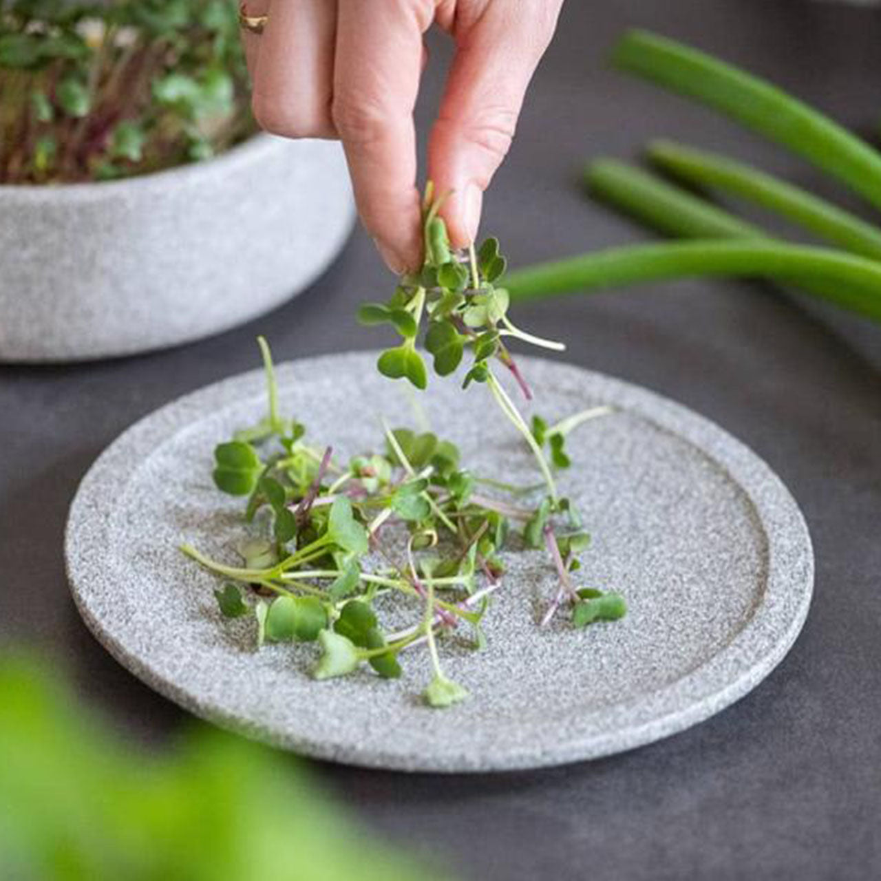 Denk Keramik Granicium Mikrogarten