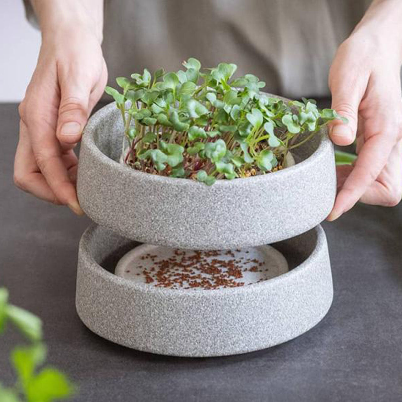 Denk Keramik Granicium Mikrogarten