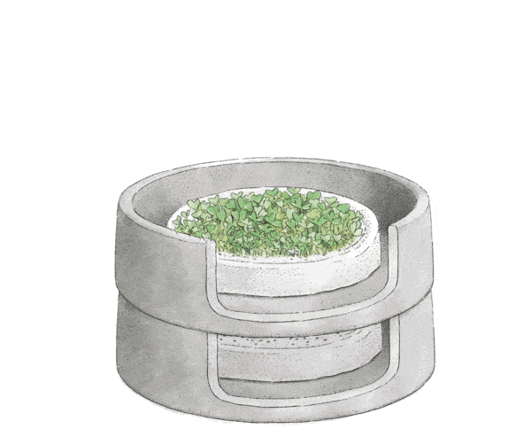 Denk Keramik Granicium Mikrogarten