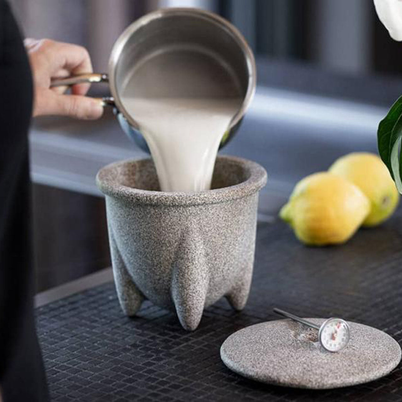 Denk Keramik Joghurtmacher