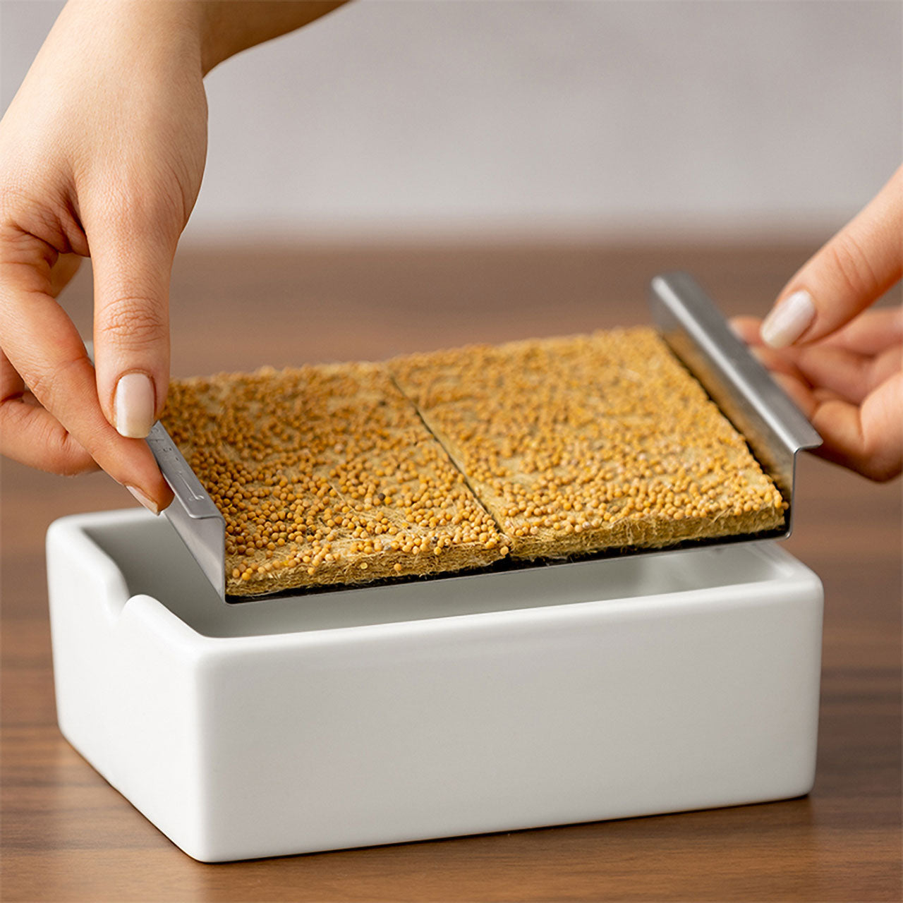 Heimgart Keimschale Starter Set für Microgreens