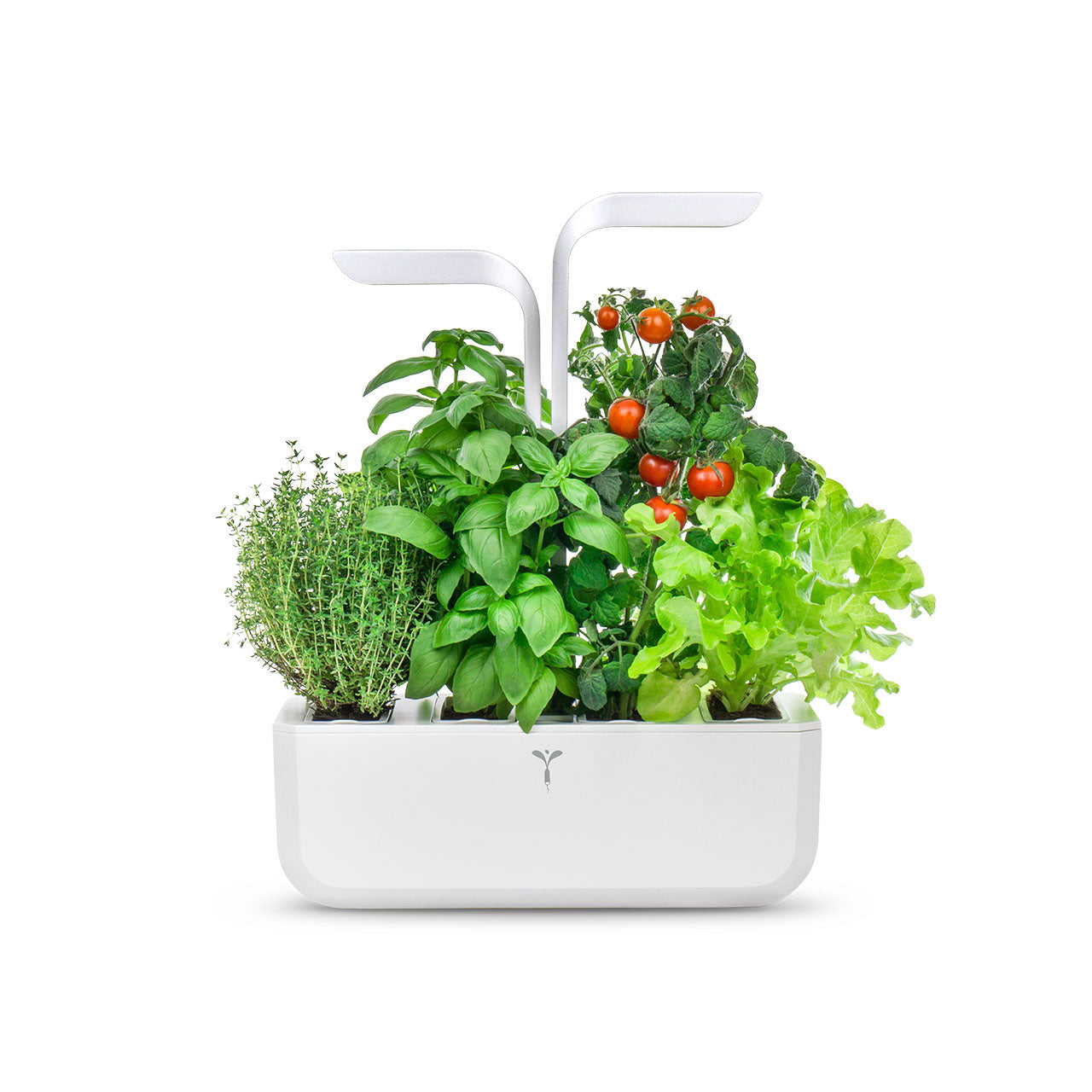 Veritable Classic Indoor Garten