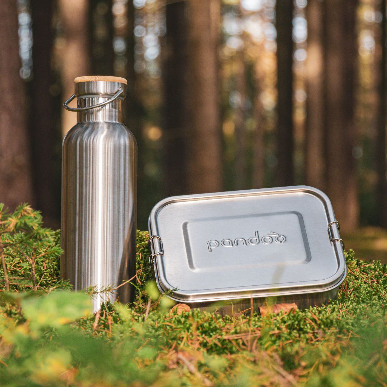 Pandoo Trinkflasche aus Edelstahl