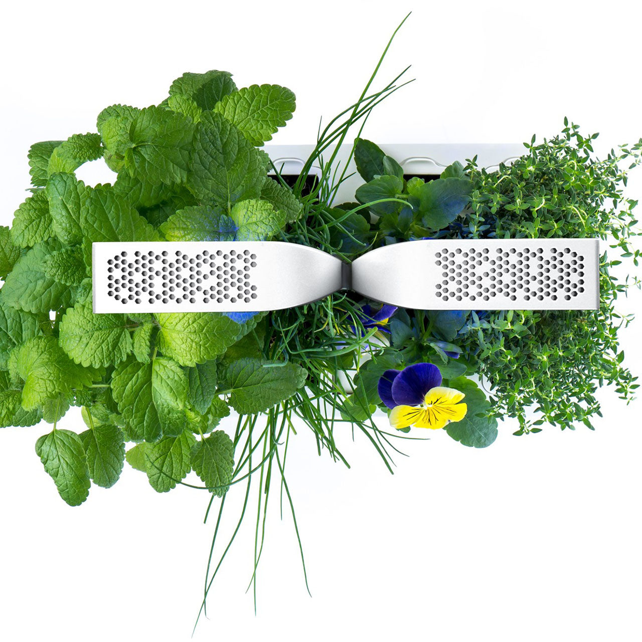 Veritable Classic Indoor Garten