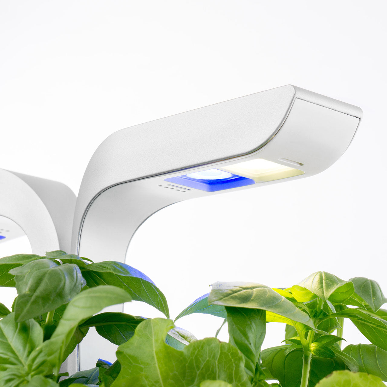 Veritable Classic Indoor Garten