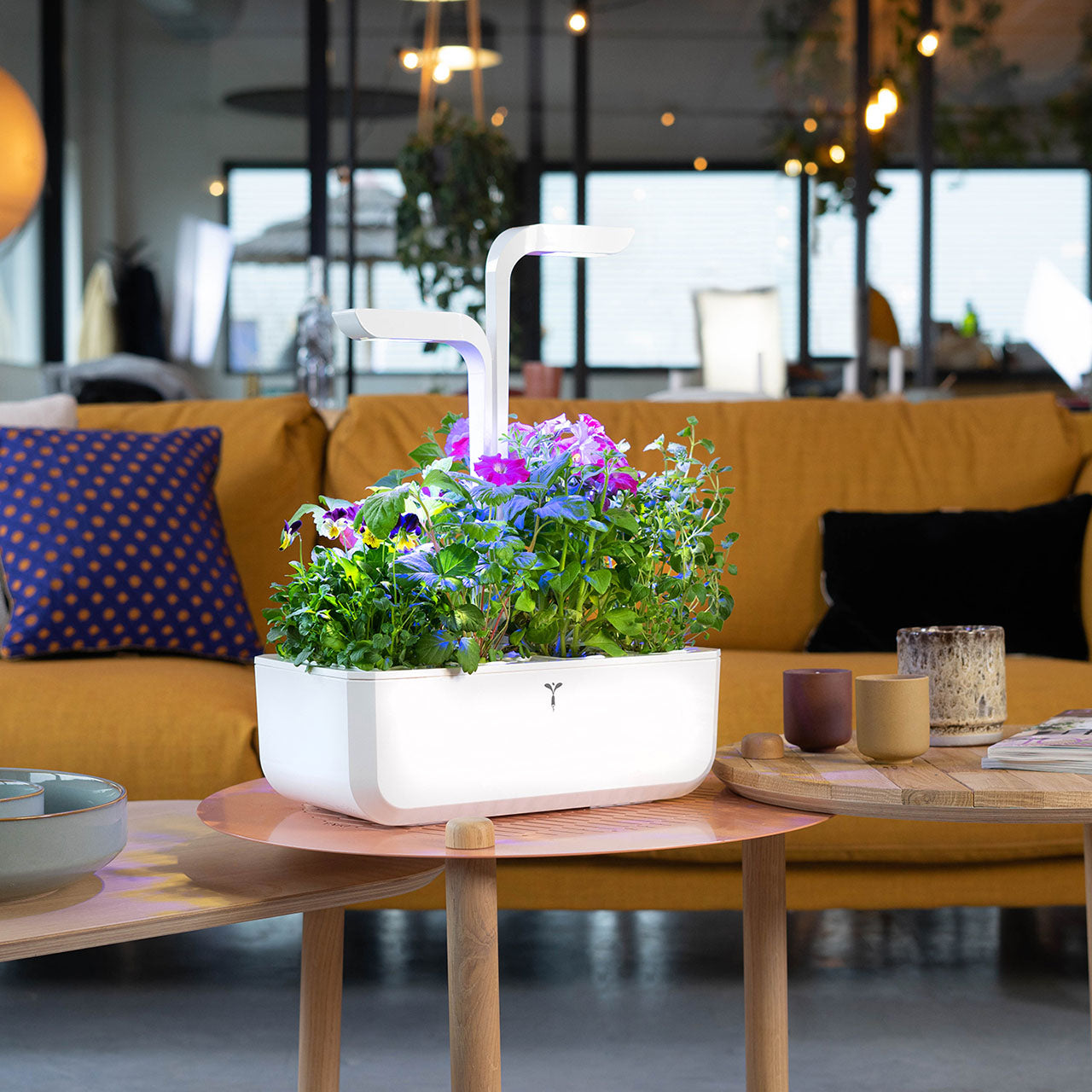 Veritable Classic Indoor Garten