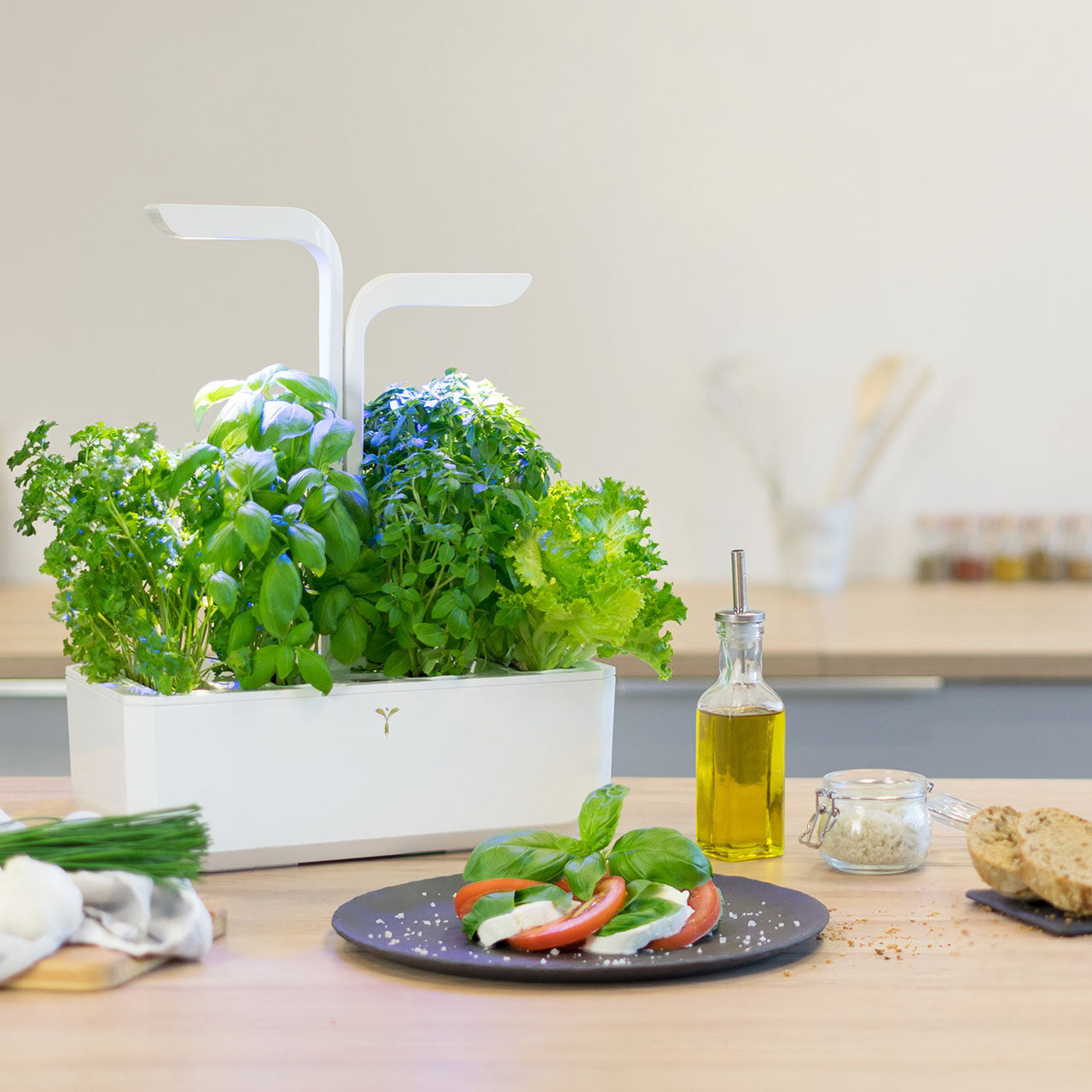 Veritable Classic Indoor Garten