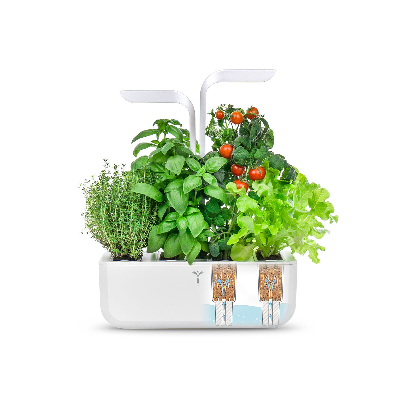 Veritable Classic Indoor Garten