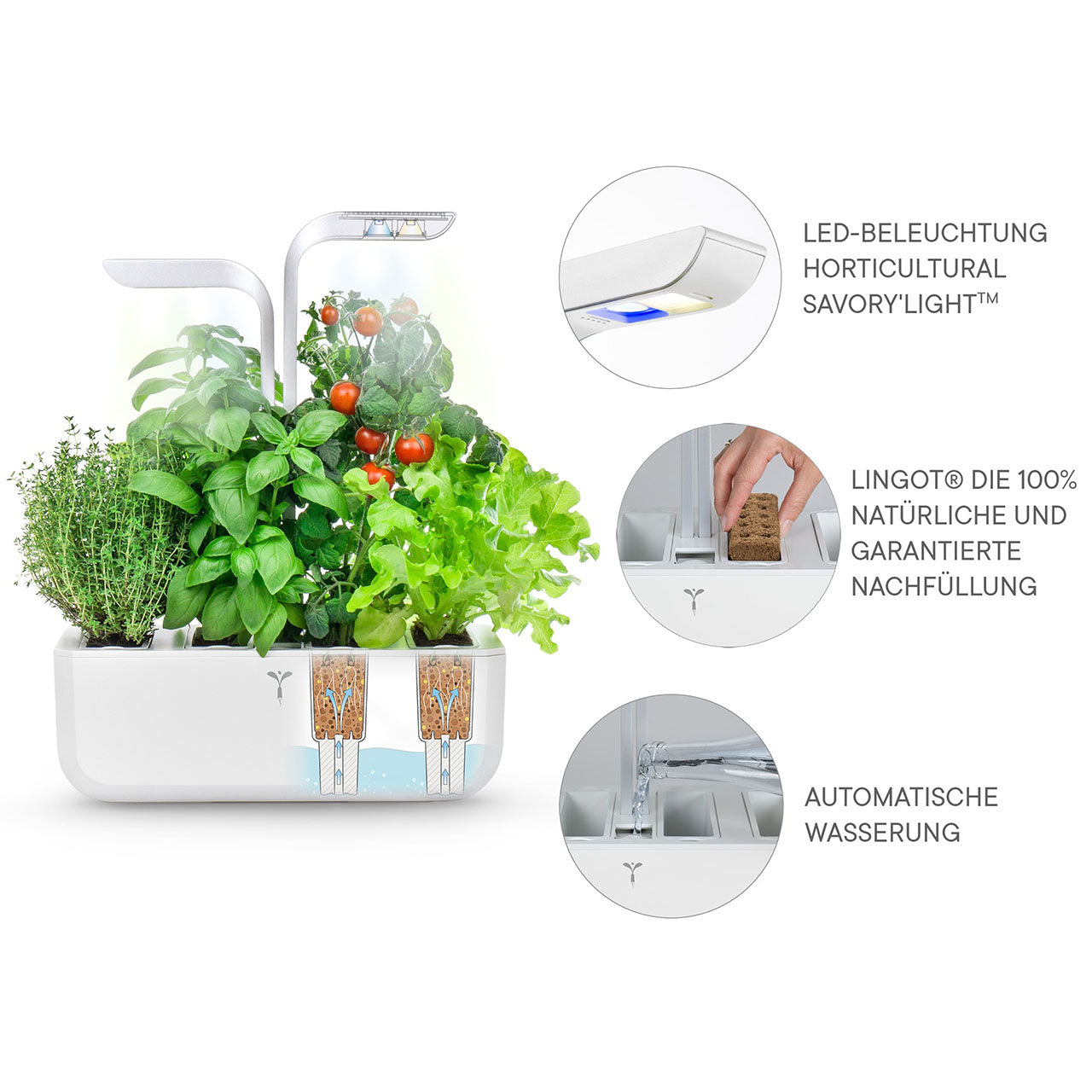 Veritable Classic Indoor Garten