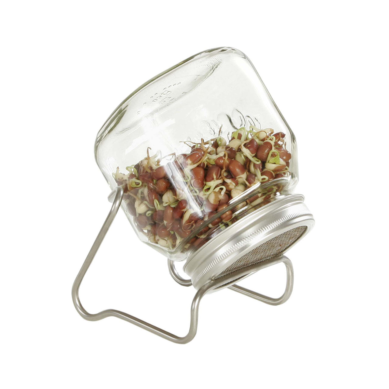Eschenfelder Sprossenglas 1er-Set