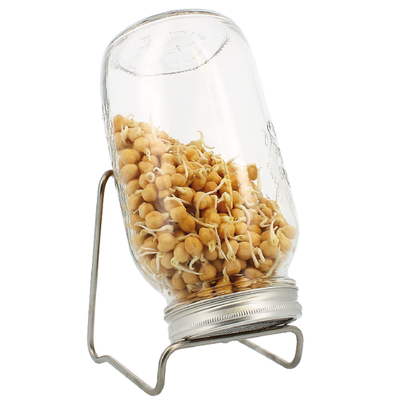 Eschenfelder Sprossenglas 1er-Set