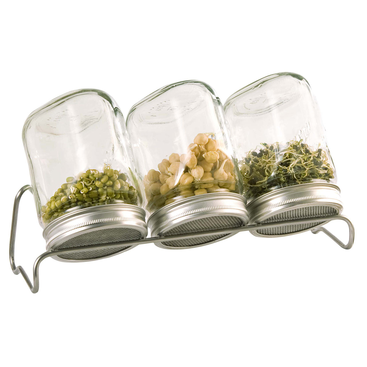 Eschenfelder Sprossenglas 3er-Set