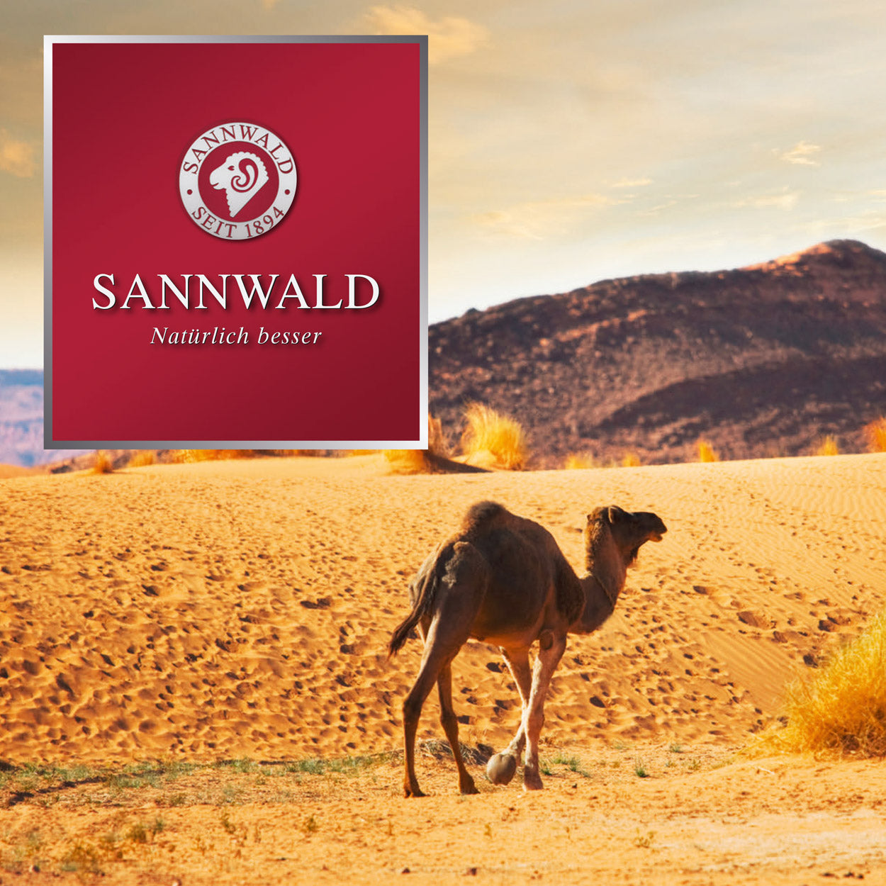 Sannwald Kairo Ganzjahres-Bettdecke mit Kamelhaar-Füllung