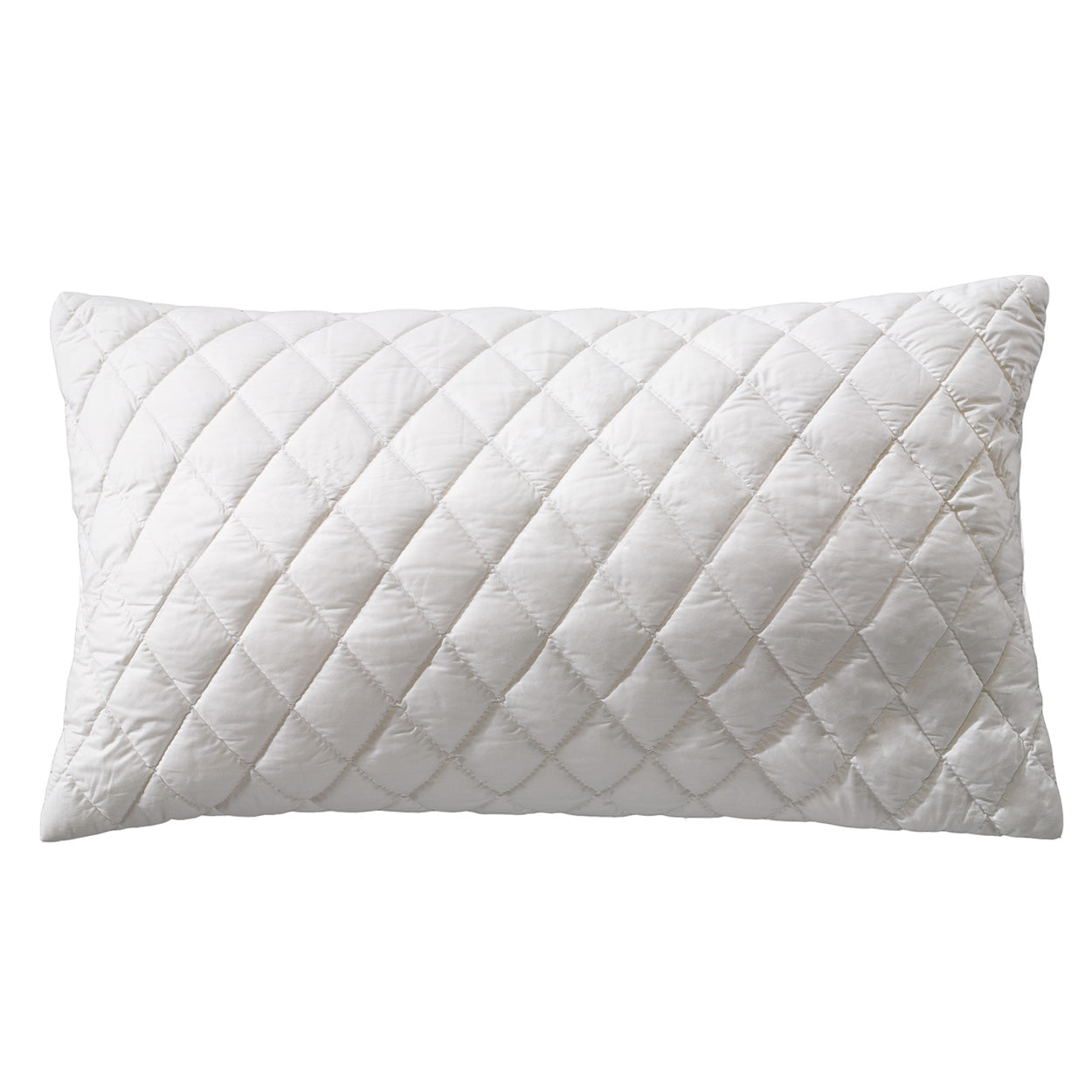 Billerbeck 381 Cosidream® Nature Kopfkissen mit Bio Wolle Füllung