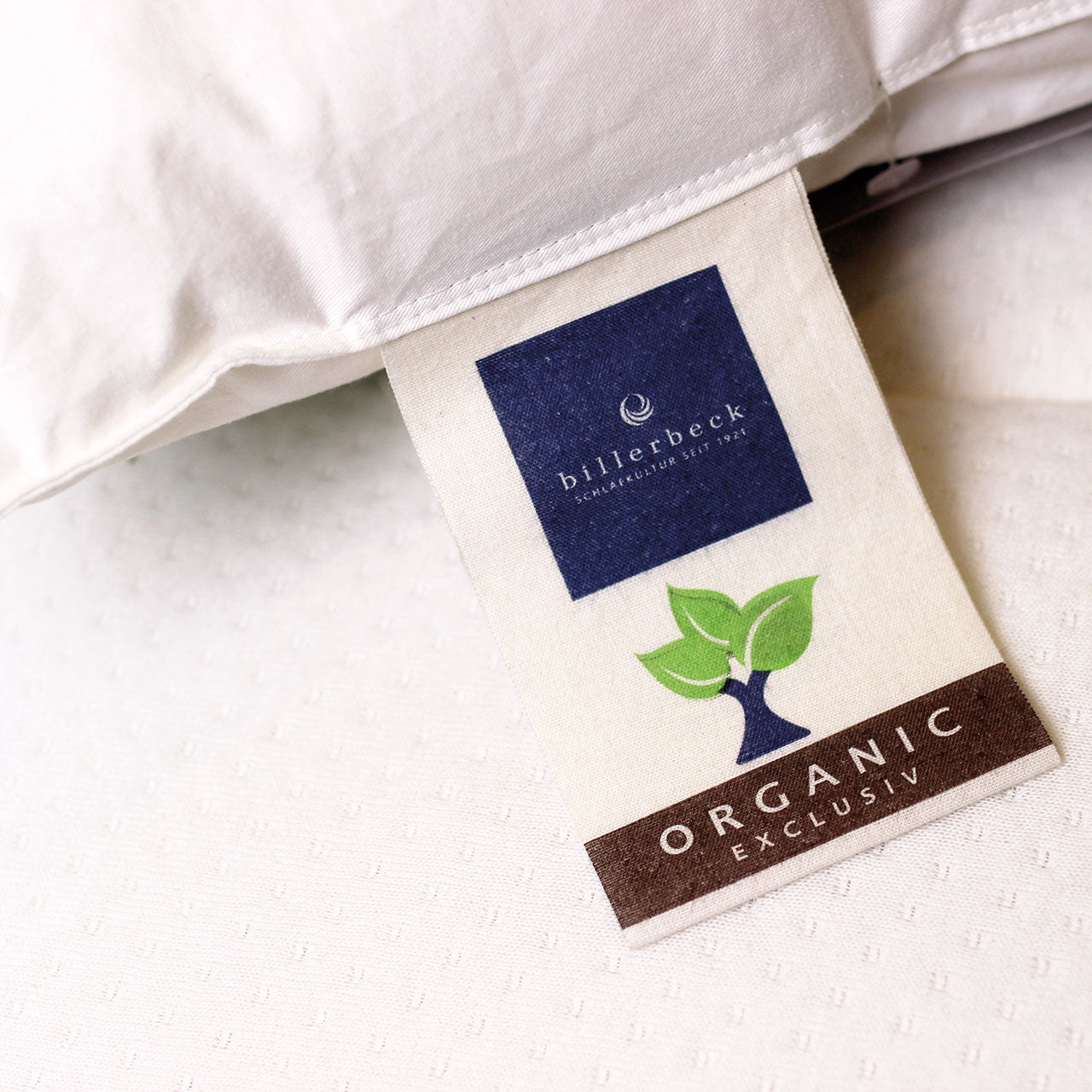 Billerbeck 381 Cosidream® Nature Kopfkissen mit Bio Wolle Füllung