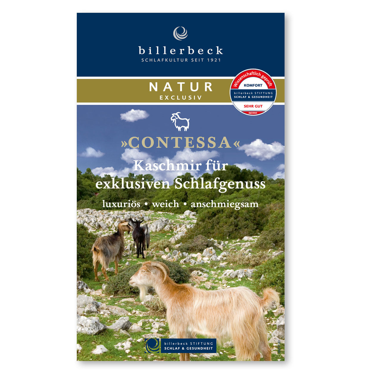 Billerbeck Contessa Duoplus Herbst/Winter-Bettdecke mit Cashmere-Füllung