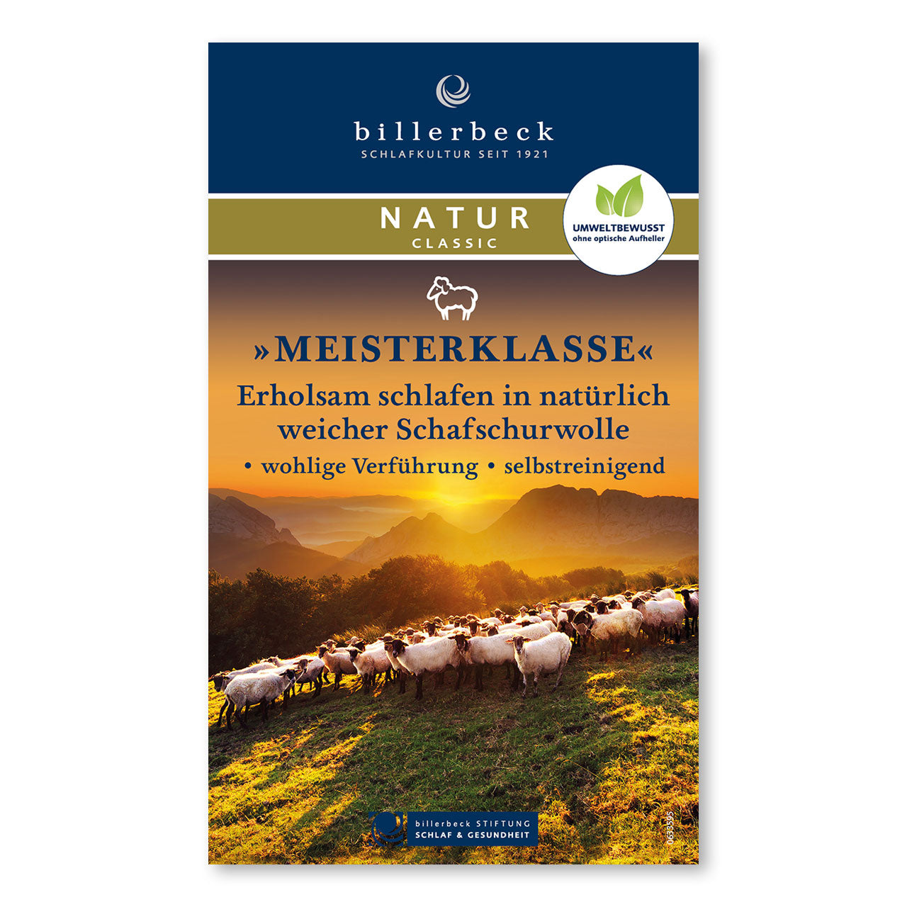 Billerbeck Meisterklasse Superlight Frühjahr/Sommer-Bettdecke mit Schafschurwolle-Füllung