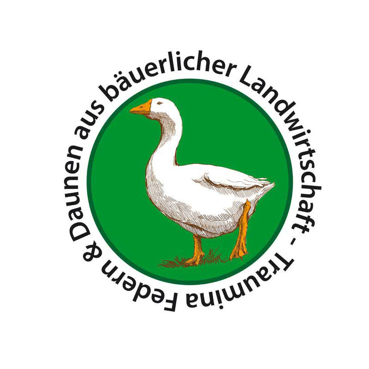 Traumina Plume Soft Kopfkissen mit Bio Daunen Füllung