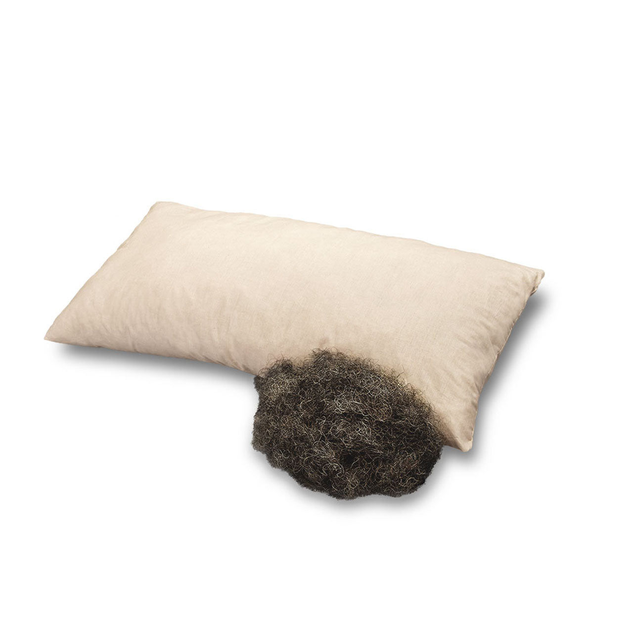 Baumberger Rossa Kopfkissen mit Rosshaar Füllung