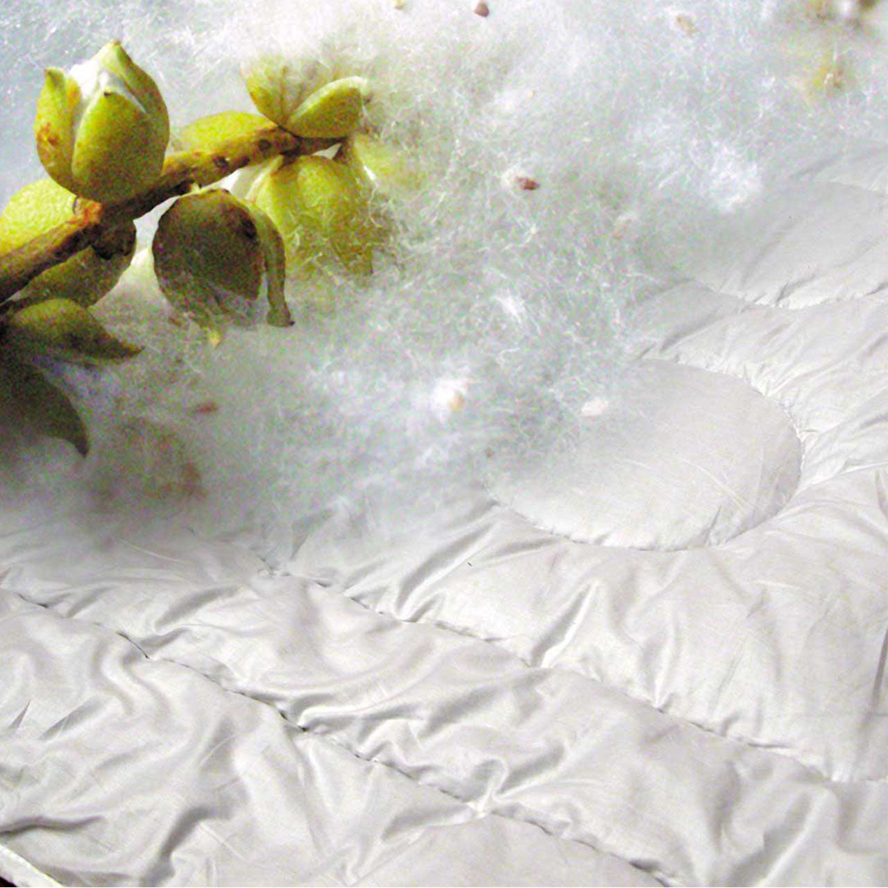 Speltex Winter-Bettdecke mit Pappelflaum-Baumwoll-Füllung