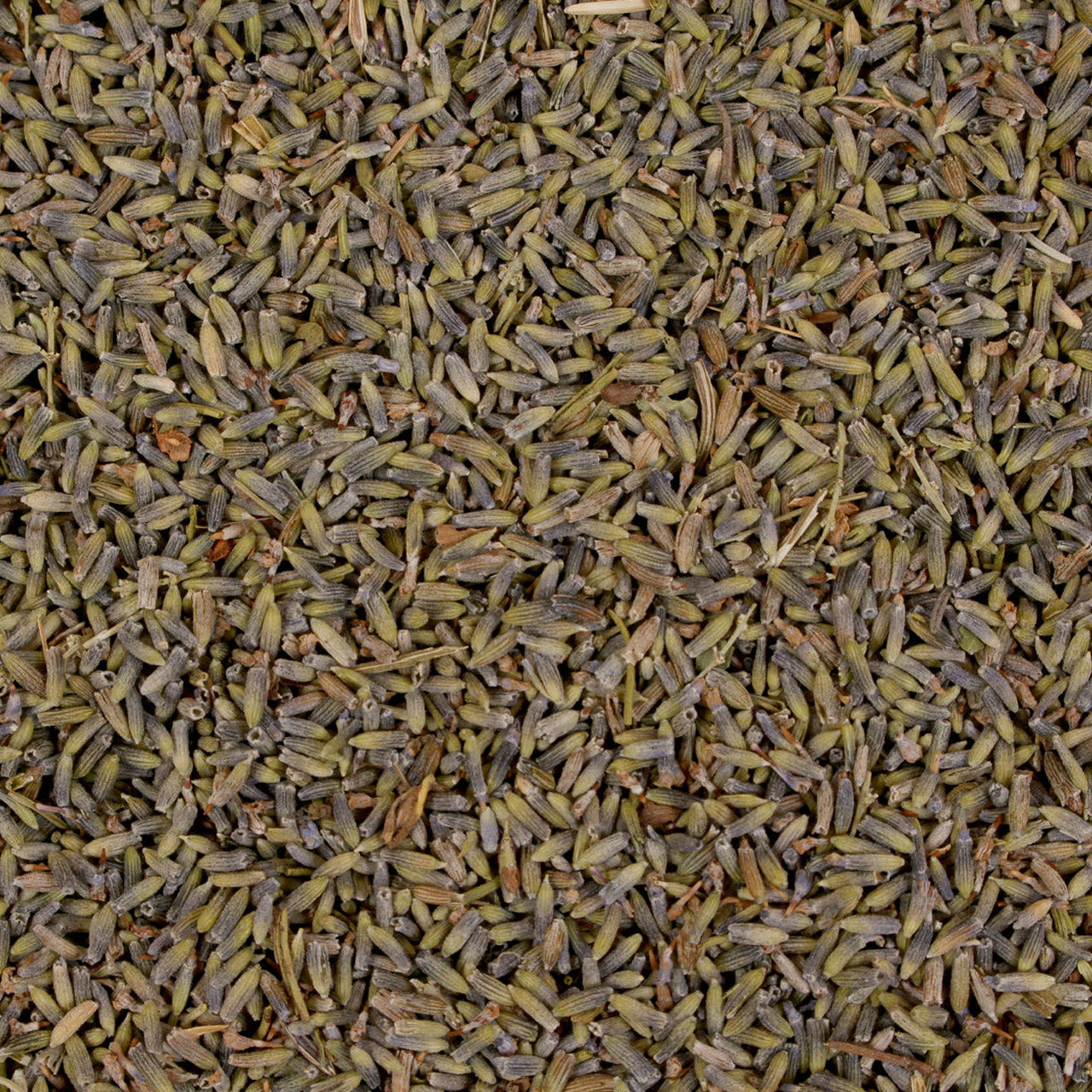 Mudis Kopfkissen mit Bio Hirse / Bio Lavendelblüten Füllung