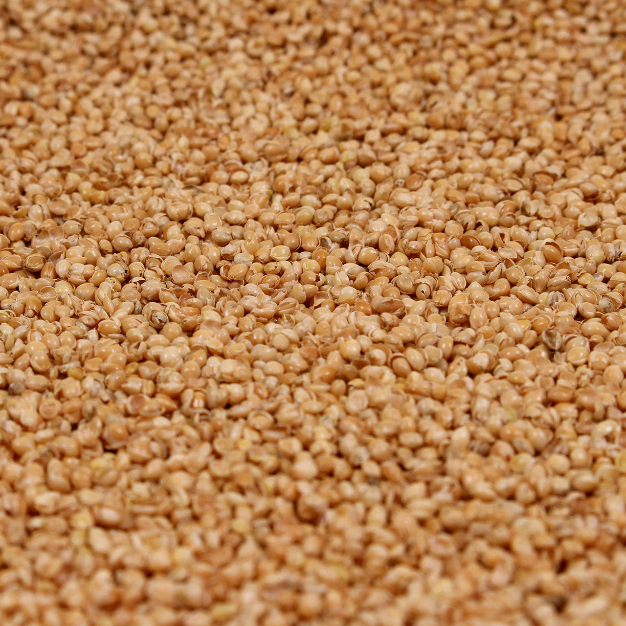 Mudis Nackenhörnchen mit Bio Hirse / Bio 6 Kräuter Füllung