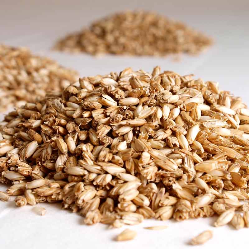 Prolana Stillkissen mit Bio Dinkelspelzen Füllung