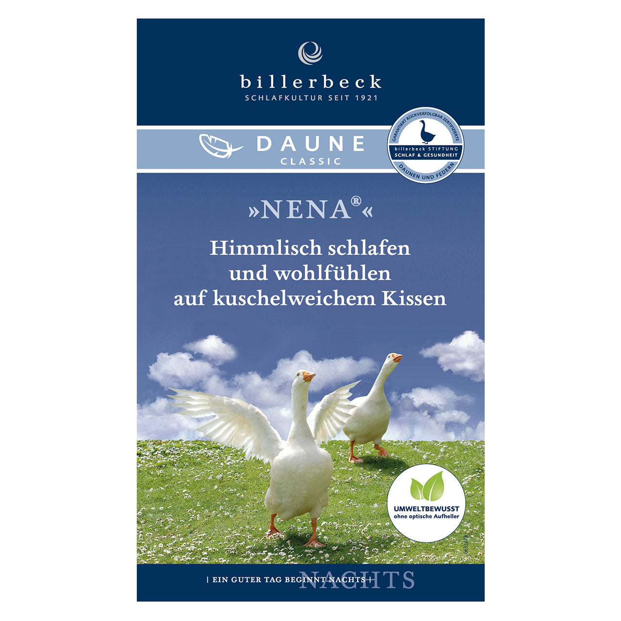 Billerbeck NENA® 3-Kammerkissen mit Gänsedaunenfüllung