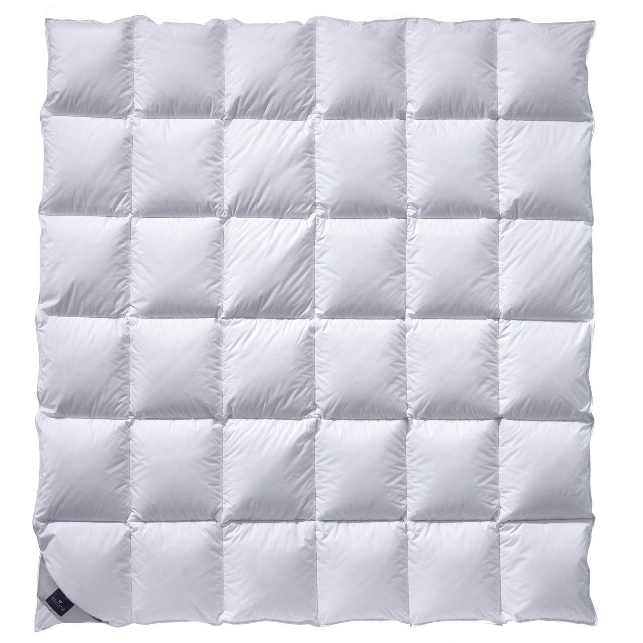 Billerbeck CATALINA® Mono Ganzjahresdecke mit Gänsedaunen-Füllung