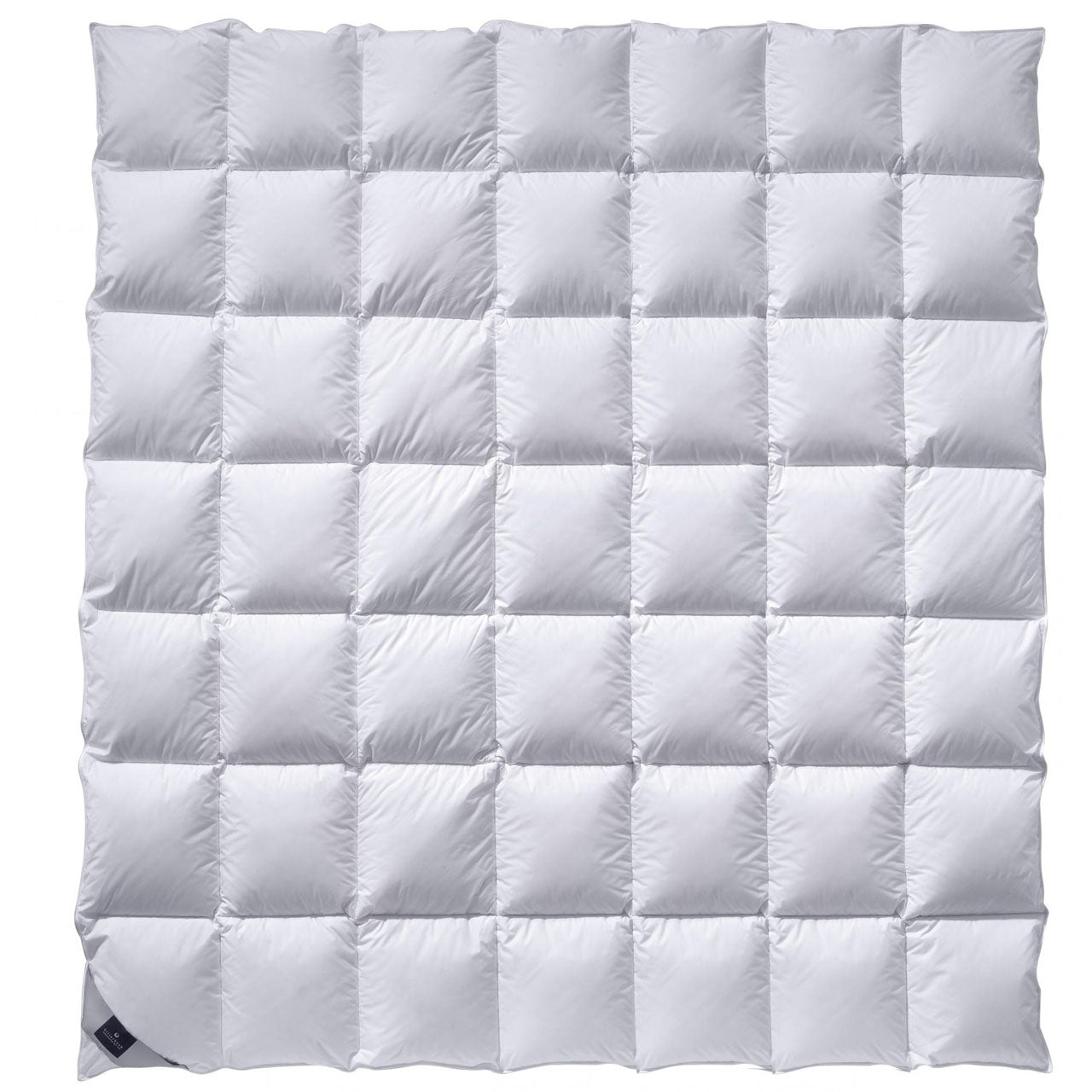 Billerbeck CATALINA® Mono Ganzjahresdecke mit Gänsedaunen-Füllung