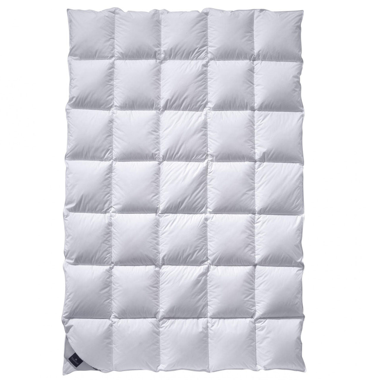Billerbeck CATALINA® Mono Ganzjahresdecke mit Gänsedaunen-Füllung