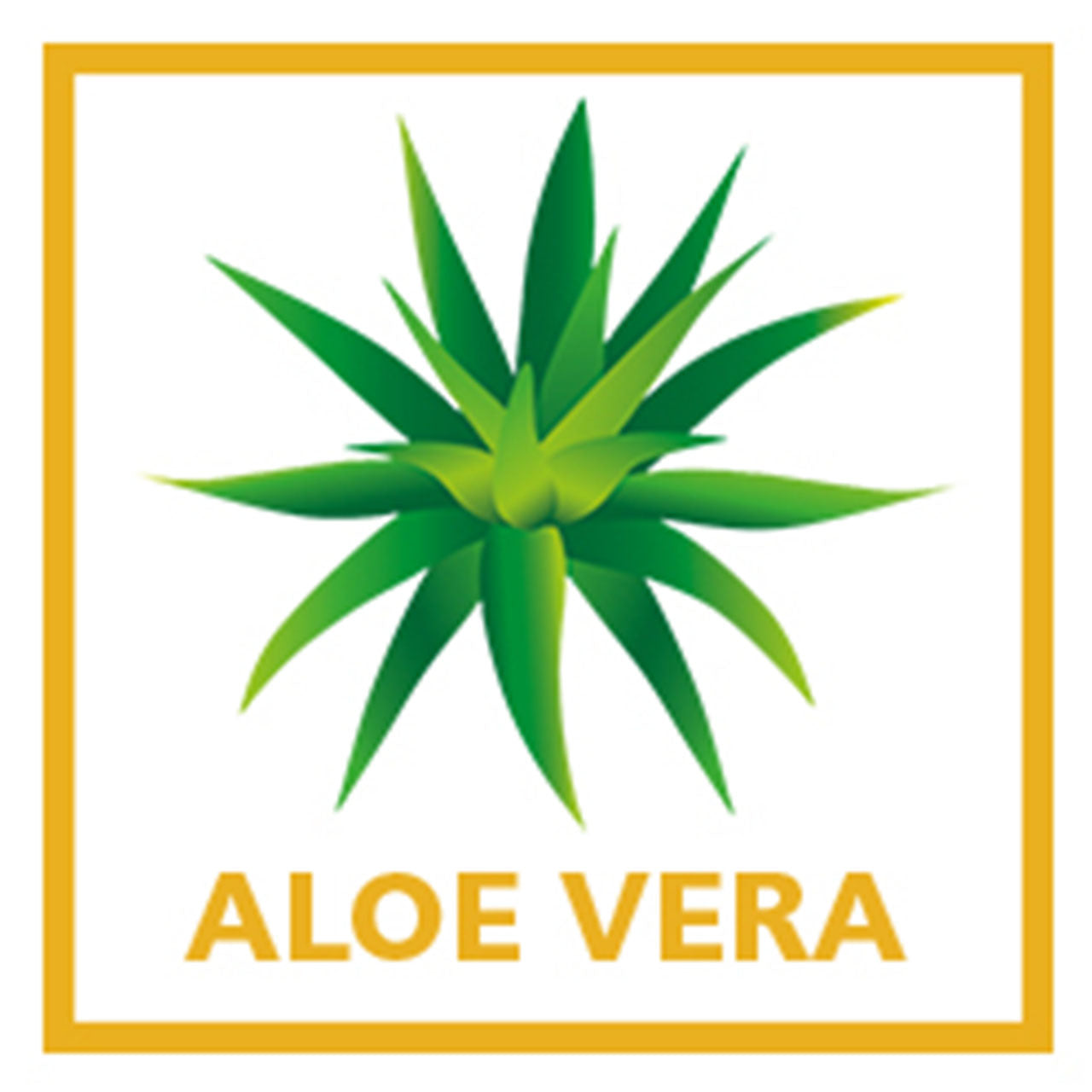 Billerbeck VARIOLUX® Nackenkissen mit Viscose Kern