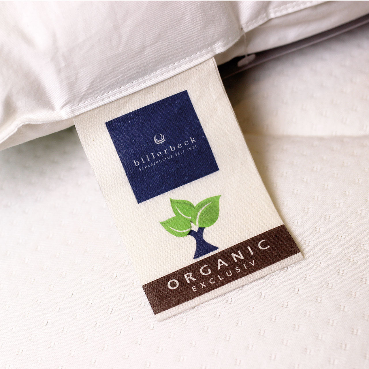 Billerbeck ZIRBERELLA® Wool Kissen gefüllt mit Schafschurwollbällchen und Zirbenholzflocken