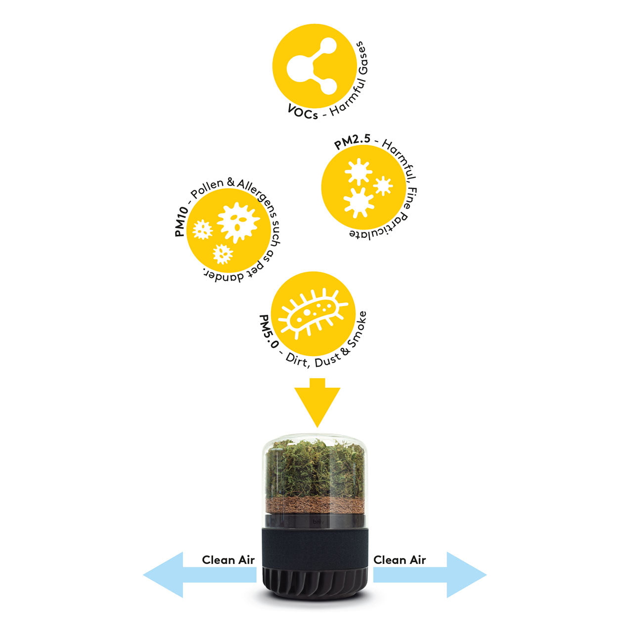 Briiv Natürlicher Luftreiniger