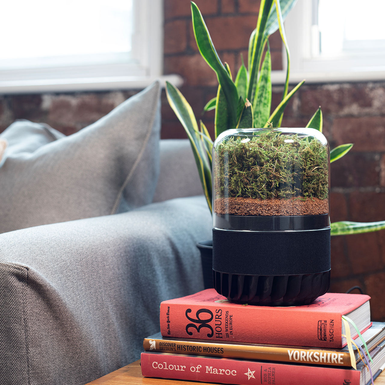 Briiv Natürlicher Luftreiniger