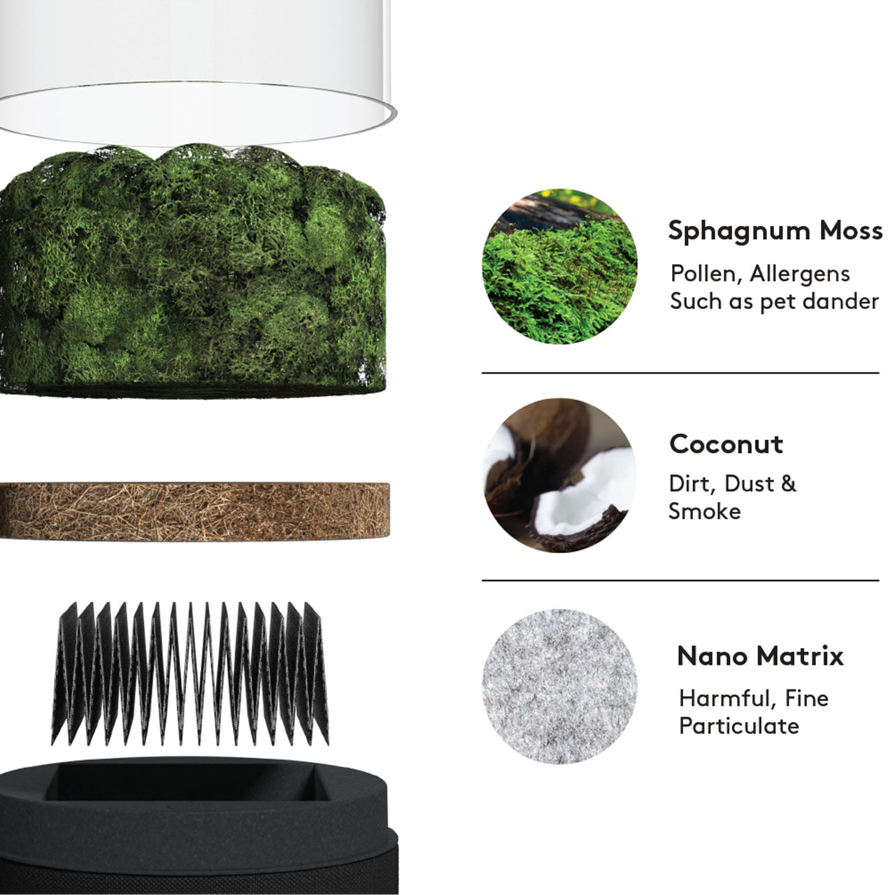 Briiv Natürlicher Luftreiniger