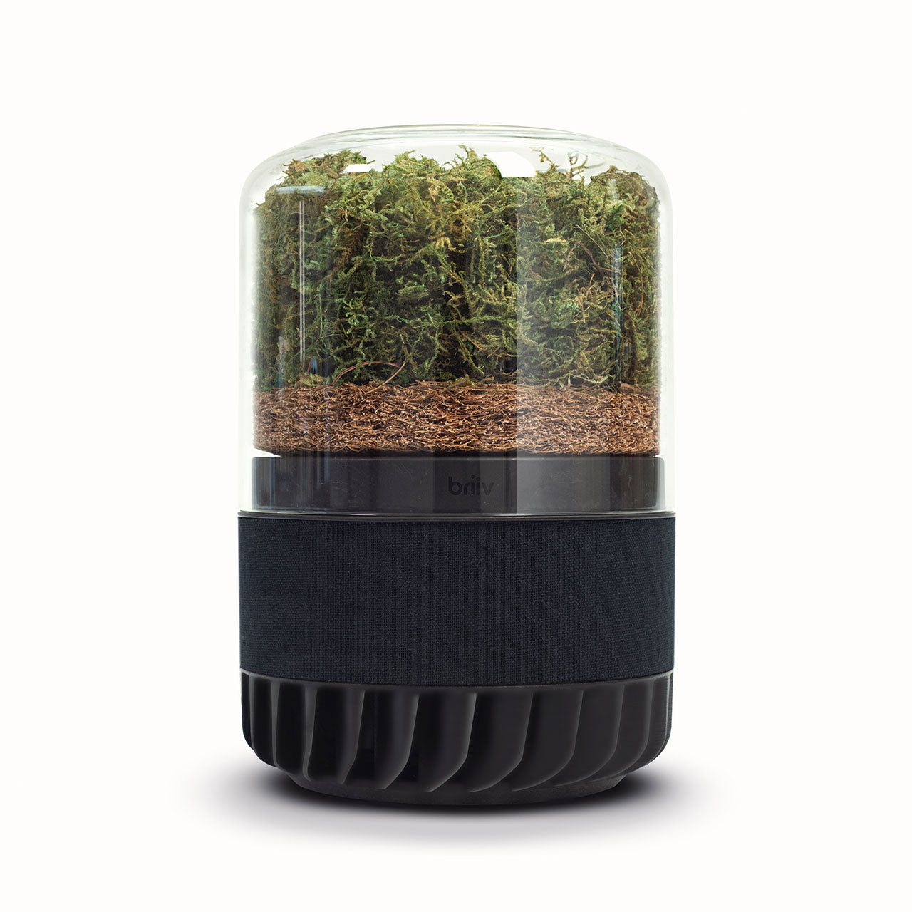 Briiv Natürlicher Luftreiniger