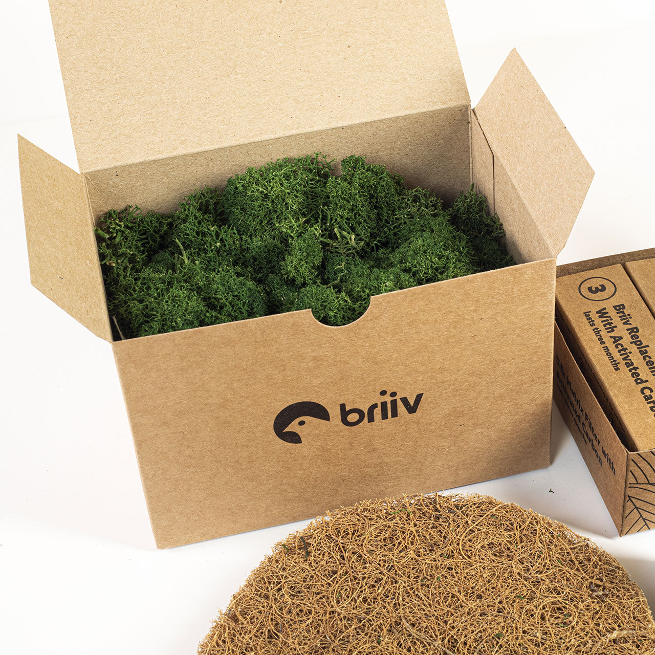 Briiv Ersatz-Filter (für 1 Jahr)