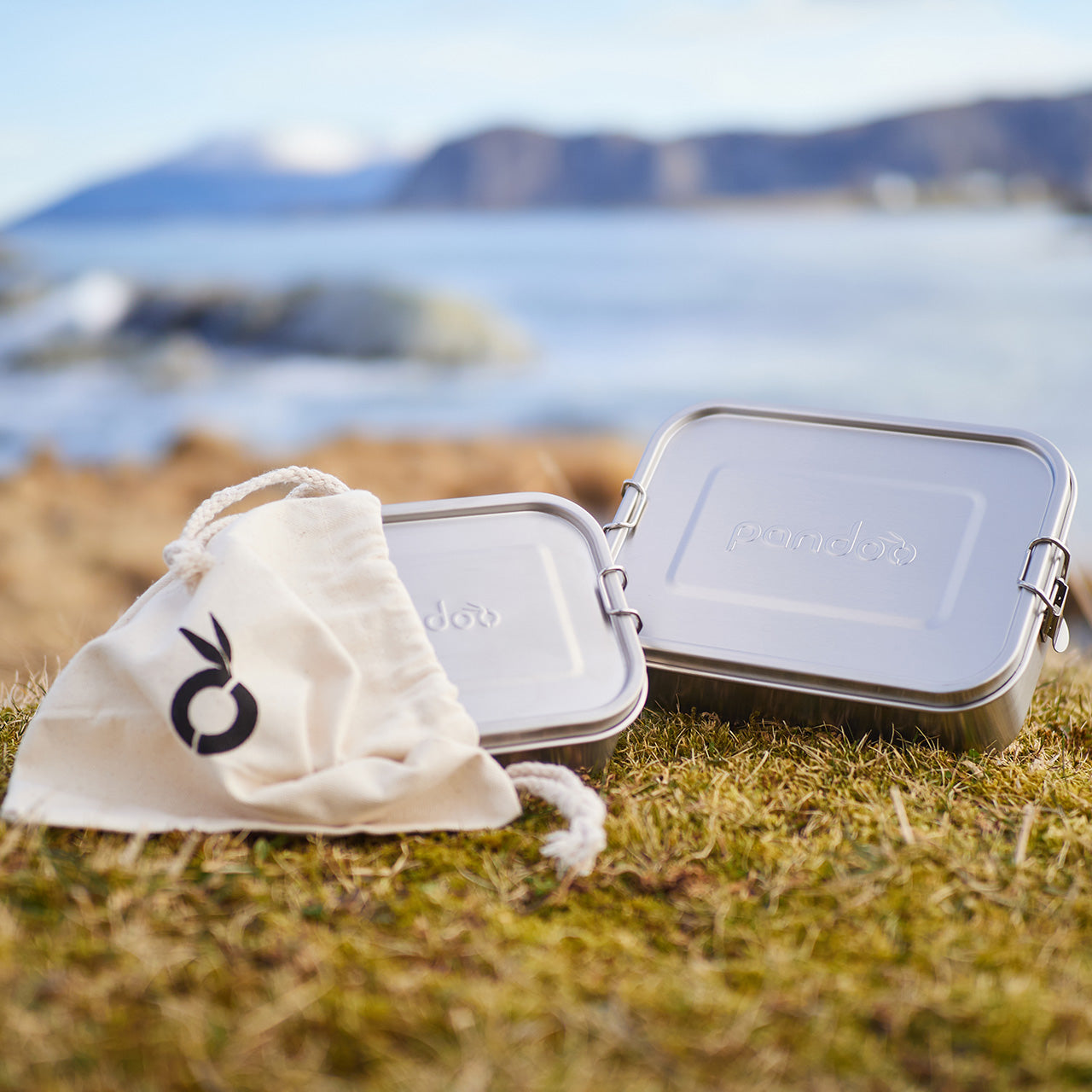 Pandoo Lunchbox aus Edelstahl