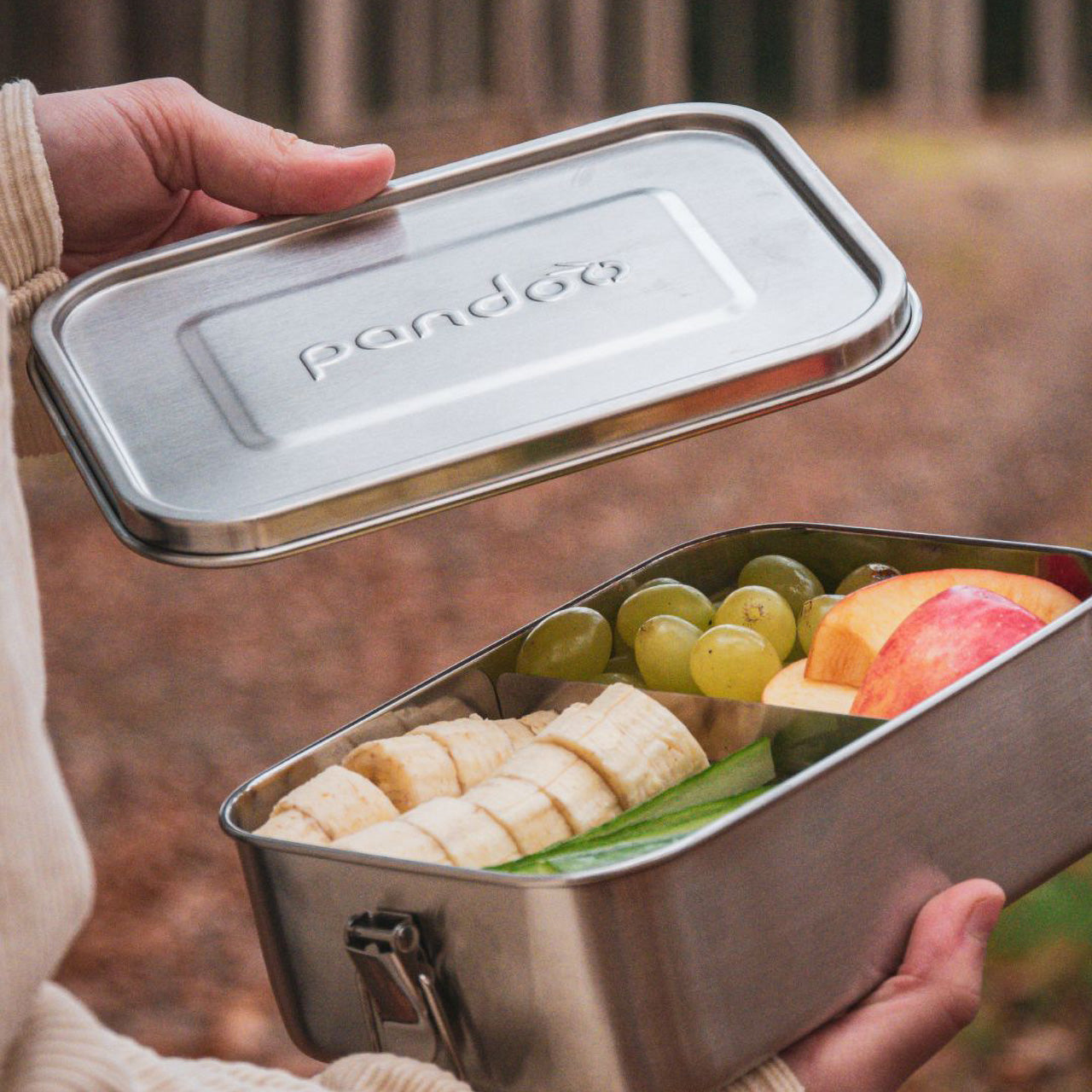 Pandoo Lunchbox aus Edelstahl