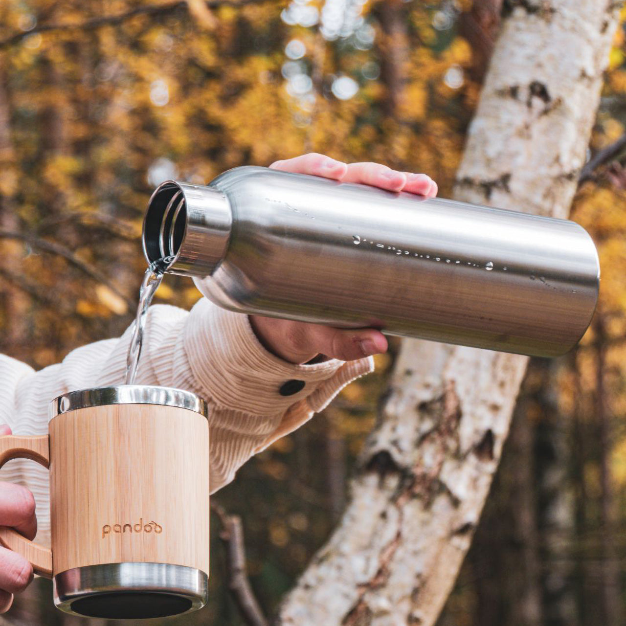 Pandoo Thermo Trinkflasche aus Edelstahl