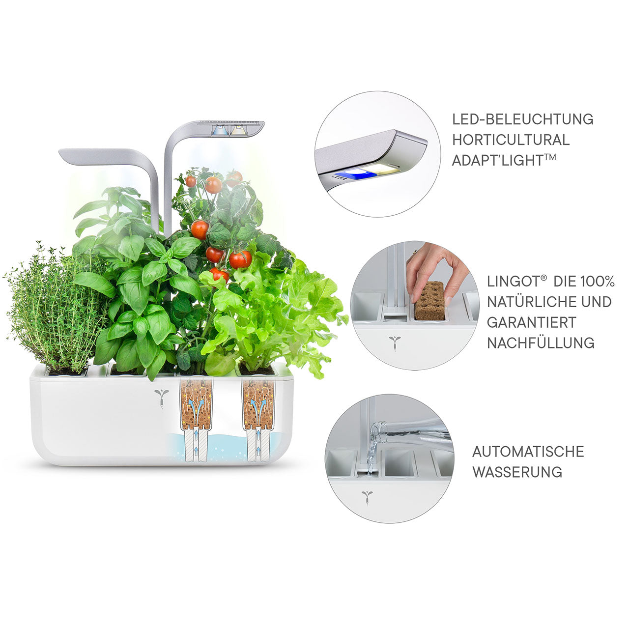 Veritable Smart Indoor Garten