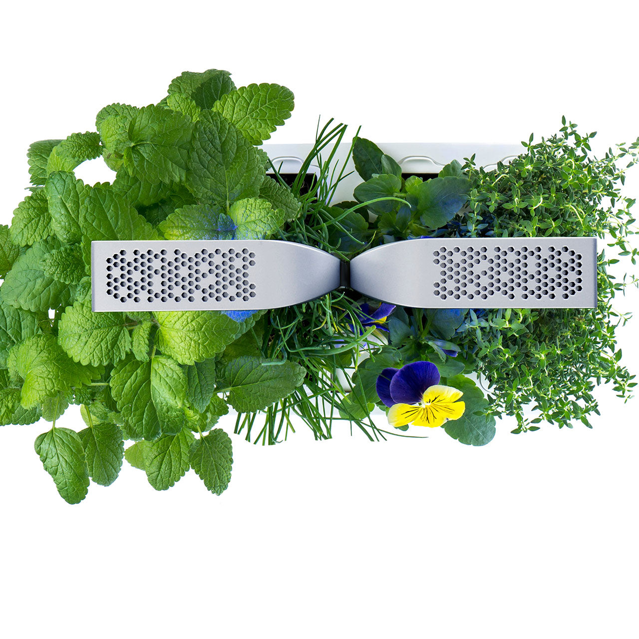 Veritable Smart Indoor Garten