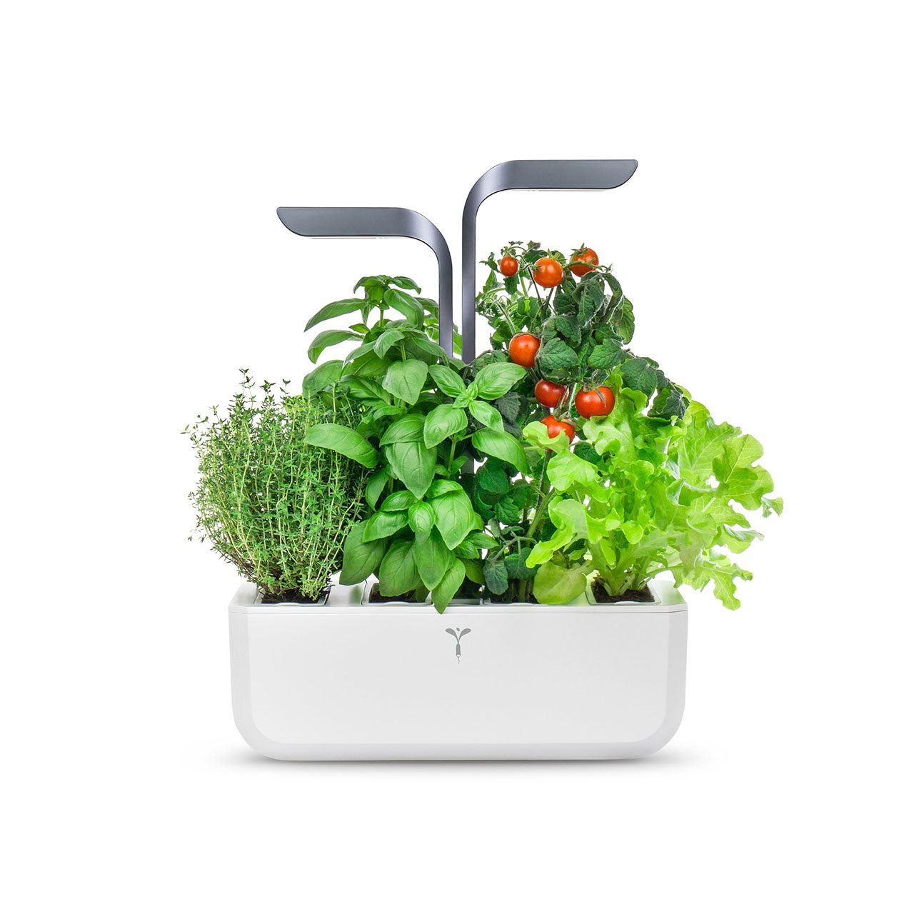 Veritable Connect Indoor Garten