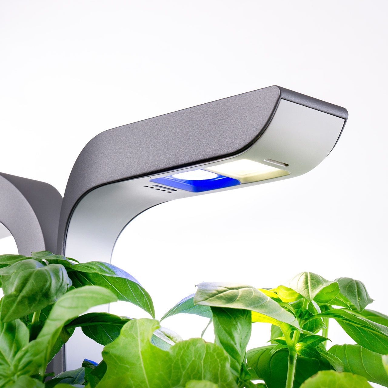 Veritable Connect Indoor Garten